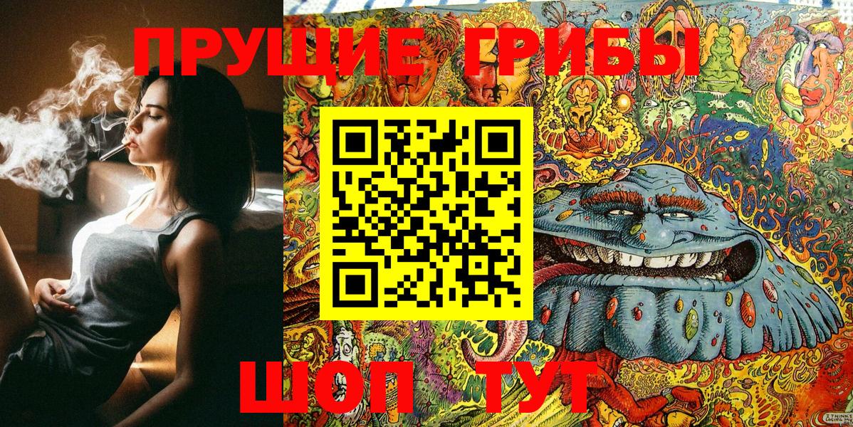 Галлюциногенные грибы Psilocybine cubensis Тимашёвск